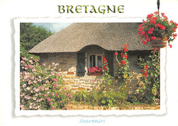 29-BRETAGNE CHAUMIERE BRETONNE-N°2779-A/0397 - Other & Unclassified