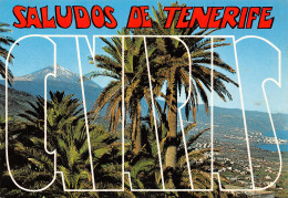 ET-Espagne TENERIFE TEIDE-N°2778-D/0229 - Autres & Non Classés