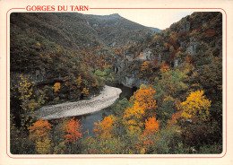 48-LES GORGES DU TARN-N°2779-D/0349 - Other & Unclassified