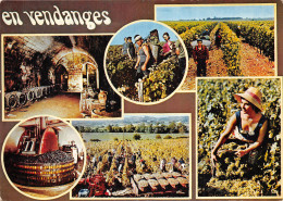 TH-THEME LES VENDANGES-N°2779-C/0247 - Landbouwers