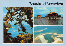 33-BASSIN D ARCACHON-N°2781-A/0255 - Other & Unclassified