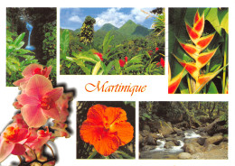 972-MARTINIQUE-N°2781-D/0337 - Other & Unclassified