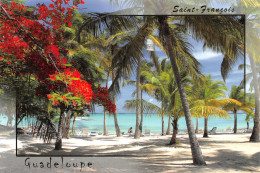 971-GUADELOUPE SAINT FRANCOIS-N°2781-D/0305 - Other & Unclassified