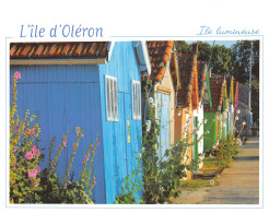 17-ILE D OLERON-N°2781-D/0269 - Ile D'Oléron