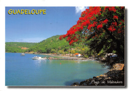 971-GUADELOUPE BOUILLANTE-N°2781-D/0223 - Other & Unclassified
