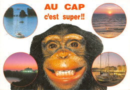 34-CAP D AGDE-N°2781-D/0285 - Andere & Zonder Classificatie