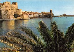 66-COLLIOURE-N°2781-D/0185 - Collioure