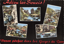48-LES GORGES DU TARN-N°2781-B/0391 - Other & Unclassified