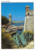 66-COLLIOURE-N°2782-B/0239 - Collioure