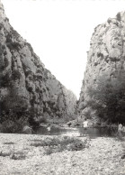 66-TAUTAVEL GORGES DU GOULEYROUS-N°2782-B/0103 - Autres & Non Classés