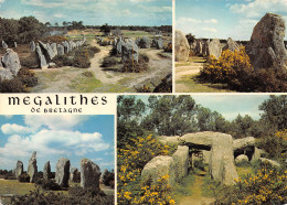 29-BRETAGNE LES MEGALITHES-N°2783-B/0069 - Autres & Non Classés