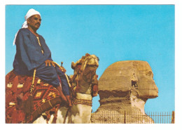 EGYPT // GIZA // CAMEL DRIVER NEAR THE FAMOUS SPHINX // 1987 - Gizeh