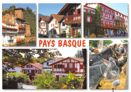 64-PAYS BASQUE-N°2783-A/0069 - Other & Unclassified