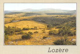 48-LOZERE LES GRANDS CAUSSES-N°2783-B/0261 - Other & Unclassified