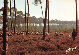 40-LES LANDES PATURAGE-N°2784-C/0131 - Andere & Zonder Classificatie