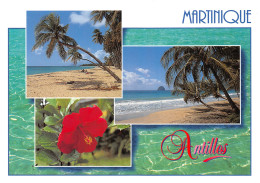 972-MARTINIQUE LES SALINES-N°2784-B/0351 - Other & Unclassified