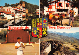64-PAYS BASQUE-N°2784-B/0335 - Other & Unclassified