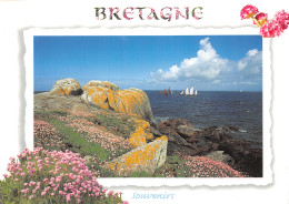 29-BRETAGNE-N°2784-B/0291 - Other & Unclassified