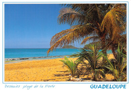 971-GUADELOUPE DESHAIES PLAGE DE LA PERLE-N°2784-B/0235 - Autres & Non Classés