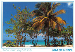971-GUADELOUPE SAINTE ROSE PLAGE DE CLUNY-N°2784-A/0353 - Other & Unclassified