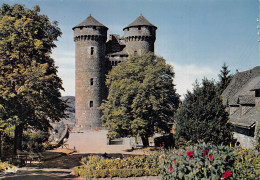 15-TOURNEMIRE CHÂTEAU D ANJONY-N°2785-A/0263 - Other & Unclassified