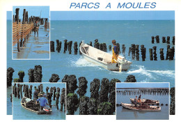 44-PARC A MOULES-N°2785-A/0147 - Other & Unclassified