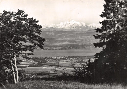 01-LE LAC LEMAN ET LE MONT BLANC-N°2784-D/0115 - Ohne Zuordnung