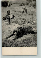 10141341 - Hunde Hund Auf Grab - Perros
