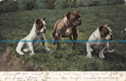 R673765 Three Dogs. T. E. L. Serie. 864 - Monde