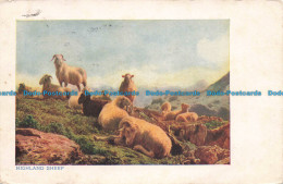 R673768 Highland Sheep. 1904 - Monde