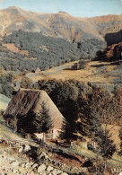 15-LE PLOMB DU CANTAL VIEILLE GRANGE-N°2786-B/0237 - Autres & Non Classés