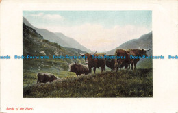 R673769 Lords Of The Herd. F. Hartmann. Real Glossy Panel Series. G. 3732. 5. 19 - Monde