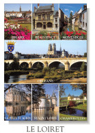 45-LE LOIRET-N°2786-D/0155 - Other & Unclassified