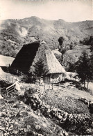 15-LE PLOMB DU CANTAL UN VIEUX BURON-N°2786-C/0285 - Autres & Non Classés