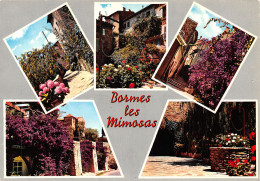 83-BORMES LES MIMOSAS-N°2787-D/0027 - Bormes-les-Mimosas