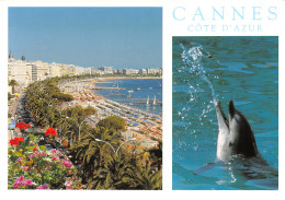 06-CANNES-N°2787-B/0337 - Cannes