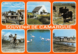 13-SOUVENIR DE CAMARGUE-N°2787-B/0331 - Other & Unclassified