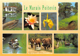 79-LE MARAIS POITEVIN-N°2787-B/0295 - Autres & Non Classés