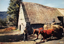 19-CHAUMEIL FERME-N°2788-B/0171 - Andere & Zonder Classificatie