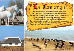13-CAMARGUE -N°2788-A/0245 - Other & Unclassified