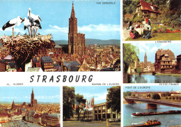 67-STRASBOURG-N°2788-A/0191 - Other & Unclassified