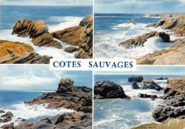 29-BRETAGNE COTES SAUVAGES-N°2787-D/0219 - Other & Unclassified