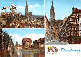 67-STRASBOURG-N°2788-D/0221 - Other & Unclassified