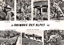 TH-ANIMAUX DES ALPES-N°2788-C/0319 - Autres & Non Classés