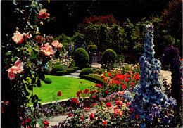 3-6-2024 (13) Canada - Rock Mountains - Lake & Flowers (2 Postcards) - Blumen