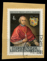 LIECHTENSTEIN 1974 Nr 613 Gestempelt Briefstück X6E96AA - Oblitérés