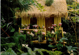 3-6-2024 (13) Canada - Vancouver Bloedel Conservatory (orchids Flowers) - Blumen