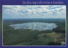 40, Côte Landaise, Le Lac Léon - Andere & Zonder Classificatie
