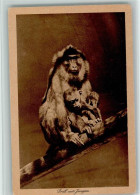 12095341 - Affen Drill Mit Jungem Ca 1927 AK - Monkeys