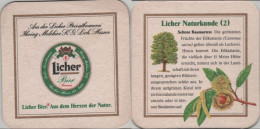 5005220 Bierdeckel Quadratisch - Licher - Beer Mats